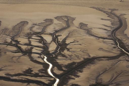 Древовидная река на полуострове Баха Калифорния в Мексике